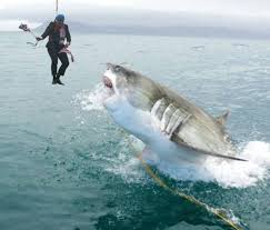 Risultati immagini per appeso