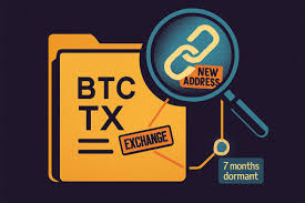 Large Bitcoin Transaction Moves $1.04B — Not a Sale, but a Custody Reshuffle