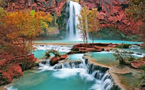 Image result for wallpaper background beautiful