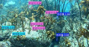조선일보 - News update