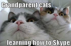 Image result for Animal Meme