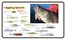 Jigging Salmon Part 1.wmv -