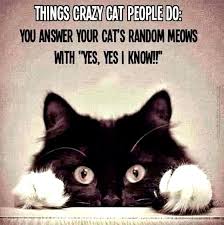 Crazy Cat Lady | Very Funny Pics via Relatably.com