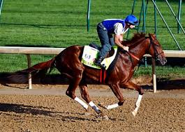 Resultado de imagen de 2017 kentucky derby hours ago