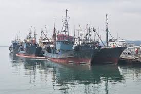 Prawn fisher fined $5K for dropping traps near West Vancouver glass sponge reefs - North Shore News