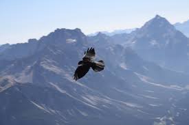 Franklin D. Roosevelt