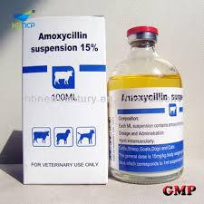 Image result wey dey for picture of antimicrobial agents in veterinary medicine