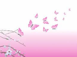 Image result for animated butterflies wallpaper