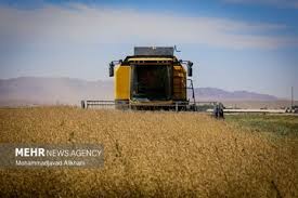 قیمت خرید تضمینی گندم پس از تعیین، باید با نرخ تورم اسفند بازنگری شود