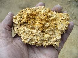 「Kanuma soil」の画像検索結果