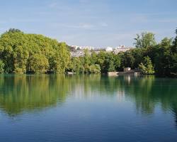 Immagine di Lago del Parc de la Tête d'Or