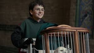 Millennials have a moral obligation to avoid the Harry Potter reboot
