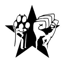 Résultat de recherche d'images pour 