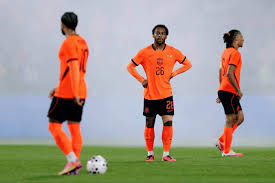 Netherlands 0 Algeria 1: The Dutch depart for the World Cup with a home loss and questions over their attack