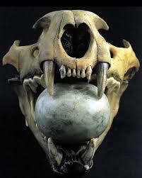 Aztec jaguar skull with jade offering