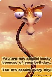 Image result for funny birthday