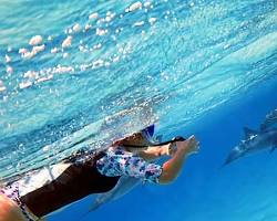 صورة Marsa Alam Dolphin House Boat Trip