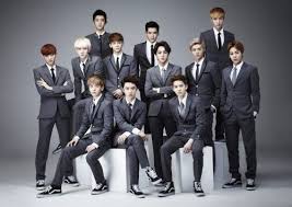 Hasil gambar untuk galeri exo