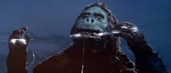 Image result for King Kong vs Godzilla