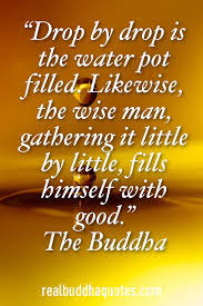 A jug fills drop by drop.” – Fake Buddha Quotes via Relatably.com