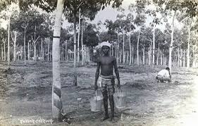 Image result for rumah estate di  pulau carey