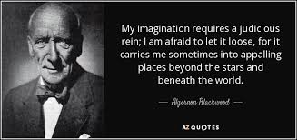 Algernon Blackwood quote: My imagination requires a judicious rein ... via Relatably.com