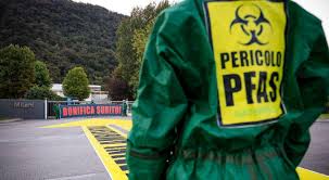 Il Gazzettino - News update