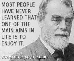 Samuel Butler quotes - Quote Coyote via Relatably.com