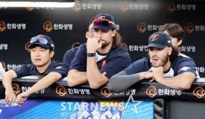 네이트 - News update