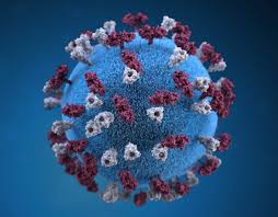 Measles Outbreak Expands in Southeast Michigan: What You Need to Know