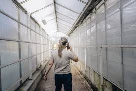 Cheferna: ”Vi tog inga pass”