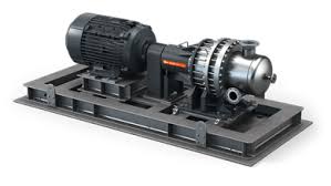 Busch DOLPHIN Vacuum Pumps & Compressors | Busch United States
