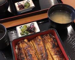 若みや うなぎ丼の画像