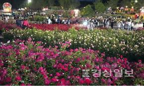 울산대공원 장미축제 아이콘