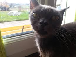 images?q=tbn:ANd9GcRNM7FMlWSt_o9nXnCk1-eU4MPrL4nLTRaCz1elfsizp4s67t1P