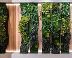 Image of Vertical Green Wall