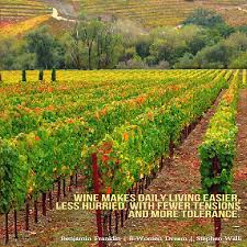 California-Wine-Country-quotes.jpg via Relatably.com