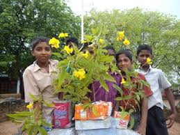 Image result for ehsq nagarjuna group