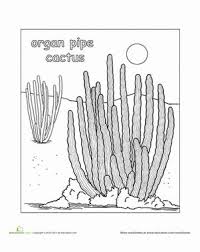 Résultat de recherche d'images pour "cactus coloring pages"