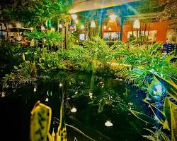 Hình ảnh về King Garden  Nhà hàng gia đình có sân vườn, Quận 6