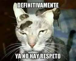 Resultado de imagen para memes chistosos