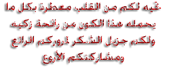 طريقة تحضير "تارت الخوخ" Images?q=tbn:ANd9GcRNY_t5fZmRunXBwE5d0zTZBrd3V2PbMuzth1CPDF7oHBHa5QrAkg