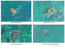 뉴시스 - News update