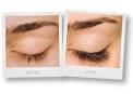 Ajax Eyelash Extensions - Deals in Ajax, ON Groupon