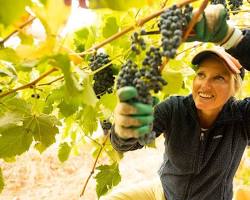 Image of Barossa Valley TAFE, Gawler