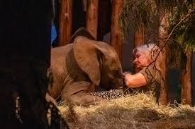 Windhoek for Elephants