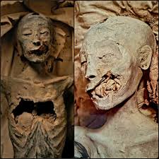 The Younger Lady 👩 Ancient Mummy Identified Through DNA Analysis As The Mother Of King Tutankhamun 🤔🐆🤔