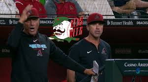 August Baseball Game Briefly Spiced Up By Runaway Dugout Red-Assedness