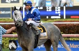 Image result for kentucky derby images 2016 ago