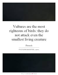 Vultures are the most righteous of birds: they do not attack... via Relatably.com